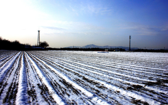 乡村雪野