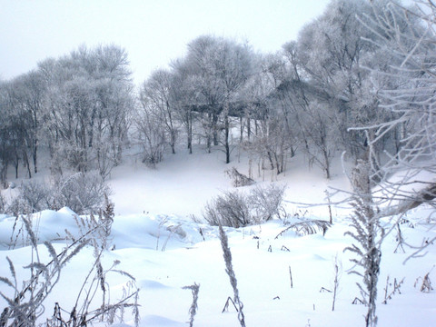 雪景