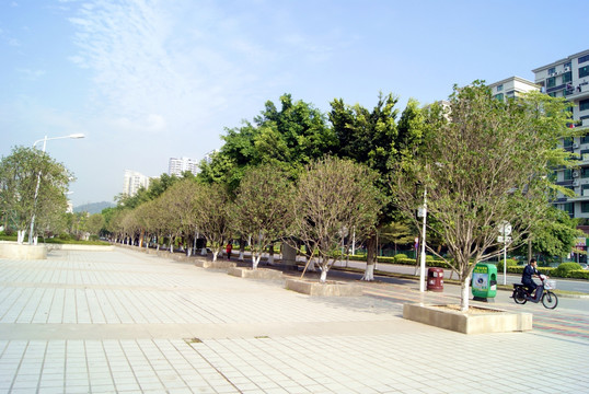 深圳西乡街景