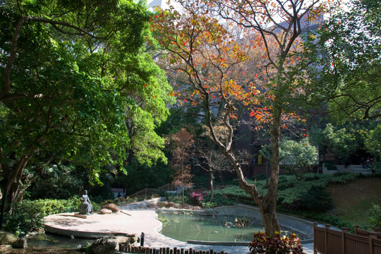 香港大学