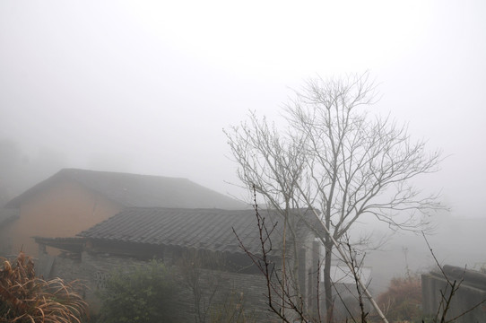 云雾中的山村