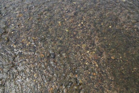 河水鹅卵石