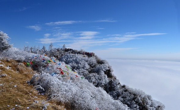 峨眉山金顶雾淞雪景