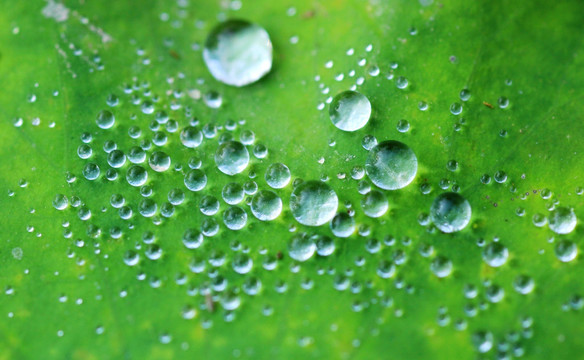 水珠