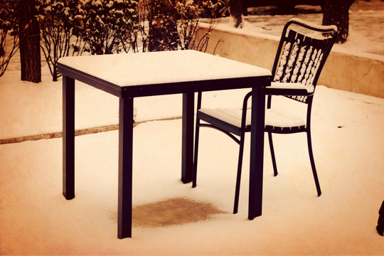 故园落雪