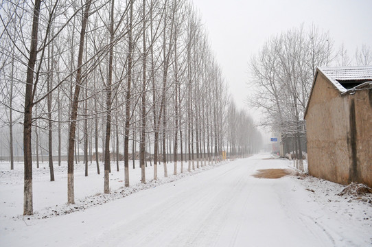 雪后 村道