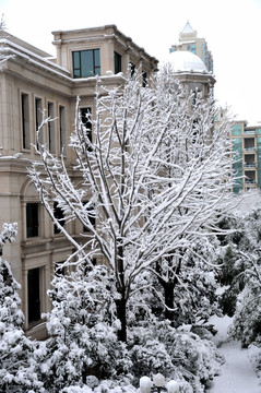 小区雪景