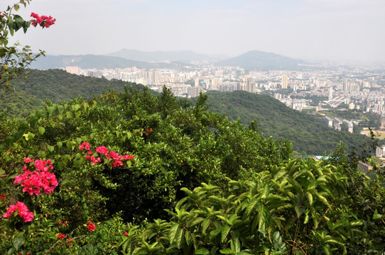 白云山
