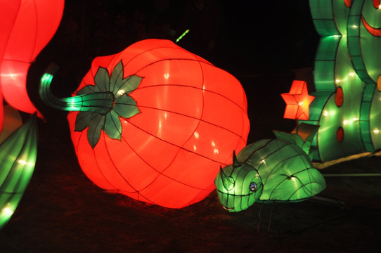 海珠湖夜景 动物灯