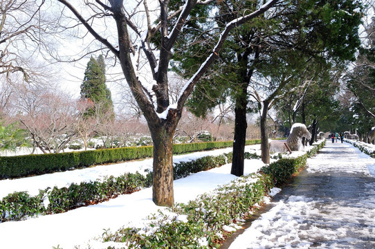 明孝陵雪景