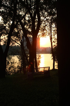 夕阳 鸳鸯湖畔