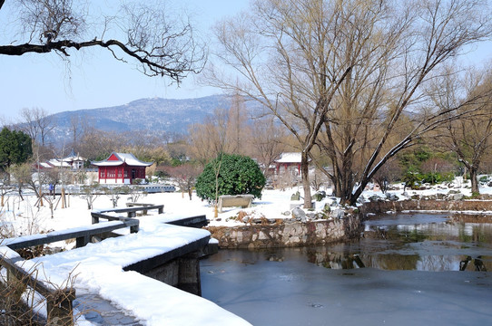 雪景