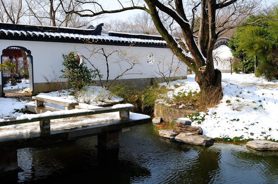 雪景