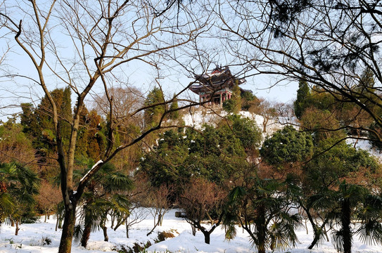梅花山雪景