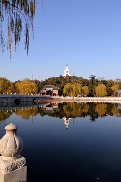 北海公园 远眺白塔