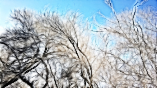 树枝 抽象画