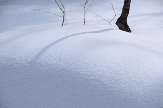 山林雪景
