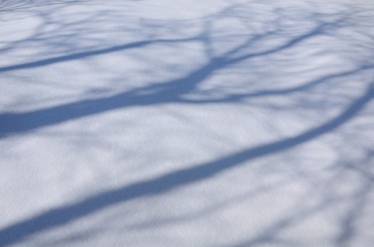 山林雪景