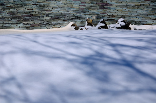 山林雪景