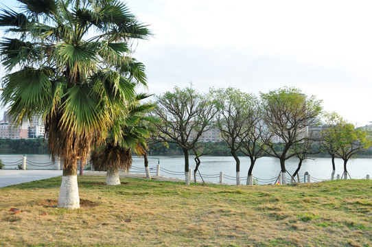 南安武荣公园风景