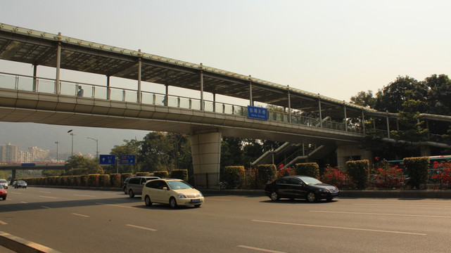 仙湖天桥