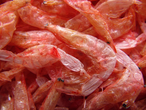 樱花虾 虾米
