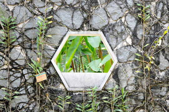 华南植物园 兰园菱形花窗
