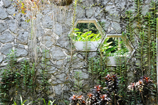 华南植物园 兰园菱形花窗