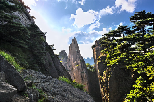 黄山风光美景