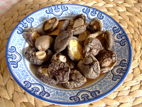 干货  香菇