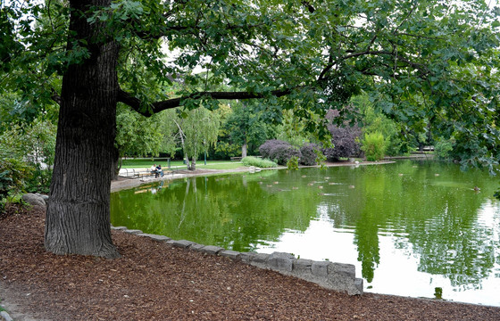 公园池塘