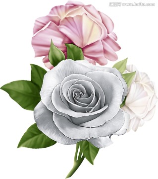 白玫瑰（通道分层）