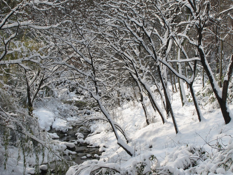 冬日溪流晴雪