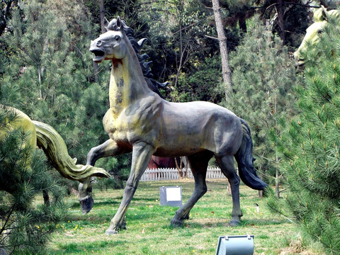 马 雕塑