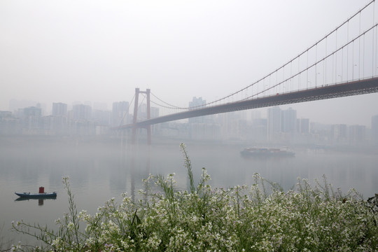 长江大桥