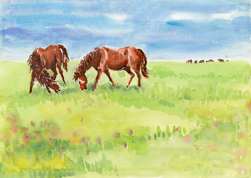 鄂尔多斯草原马匹  高清绘画