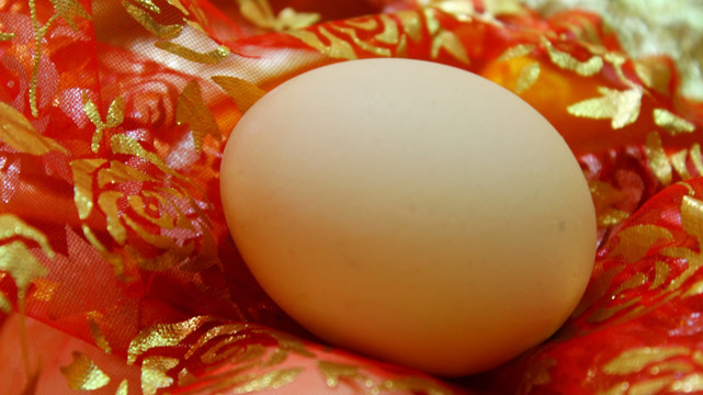 一只鸡蛋