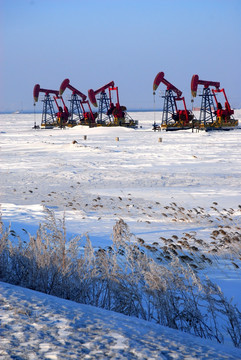 冬季的大庆油田景观
