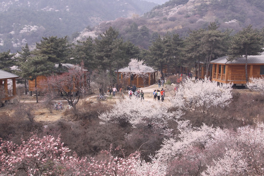 桃花沟景区