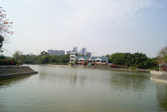 深圳中山公园湖景
