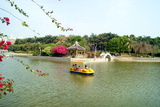 深圳中山公园湖景