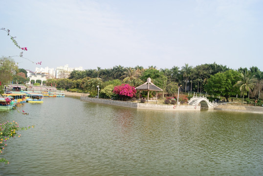 深圳中山公园湖景