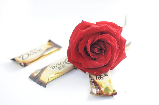 巧克力与玫瑰花
