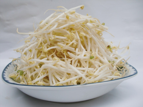 绿豆芽