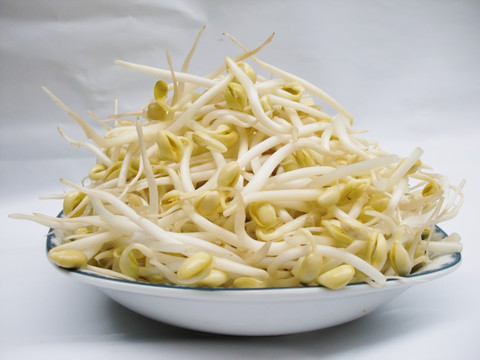 黄豆芽