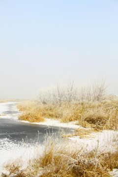 冬天结冰的河