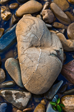 鹅卵石 石头
