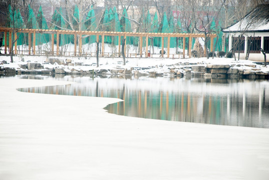 雪景