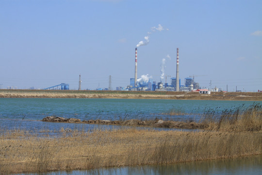 发电厂 湿地