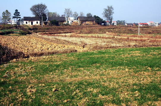 乡野风景